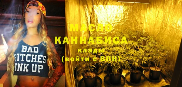 гидра Арсеньев