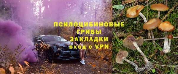 гидра Арсеньев