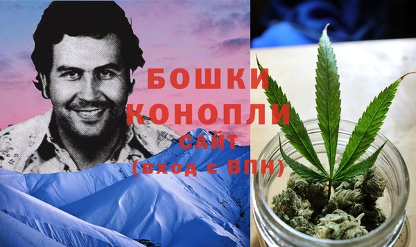 гидра Арсеньев