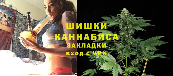 гидра Арсеньев
