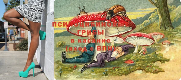 прущие крисы Осинники