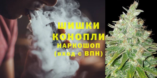 стаф Осташков