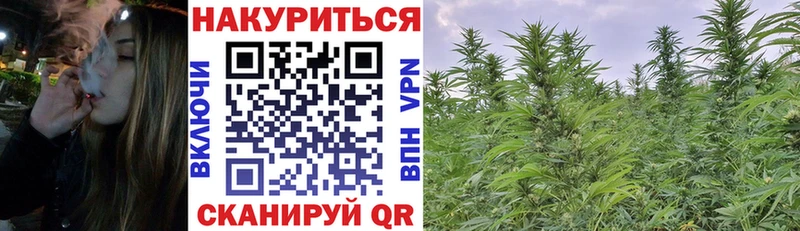 Бошки Шишки индика  где купить наркоту  Бавлы 